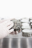 Close up of a man's hands holding a cheese