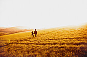 Couple Walking in a Field Holding Hands