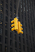 Traffic Lights and Skyscraper, New York City