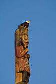 Weißkopfseeadler sitzt auf einem Totempfahl im Totem Bight State Park, Ketchikan, Alaska.