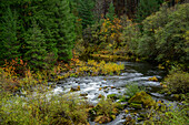 North Fork Middle Fork of the Willamette River, Willamette National Forest, Oregon.