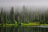 Clearing fog over Reflection Lake, Mount Rainier National Park, Washington.