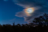 Die zunehmende Mondsichel in der Nähe von Jupiter am Abend des 14. März 2024 am westlichen Dämmerungshimmel an einem australischen Herbstabend. Der Mond befindet sich in einer dünnen Wolke, die durch Beugung an den Wassertröpfchen der Wolke die farbenprächtige Korona" des Mondes um ihn herum erzeugt. Auf der "dunklen Seite des Mondes" ist der Erdschein zu sehen.