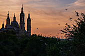 Vogelschwarm und Kathedralen-Basilika Unserer Lieben Frau von der Säule bei Sonnenuntergang, Zaragoza, Spanien