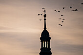 Vogelschwarm und Kathedralen-Basilika Unserer Lieben Frau von der Säule bei Sonnenuntergang, Zaragoza, Spanien