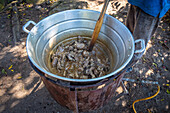 Ein Mann stellt in seinem Haus in Hoja Blanca, Guatemala, hausgemachte Schweineschwarte her.