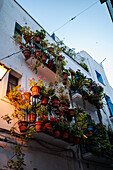 House balcony decorated with numerous plants