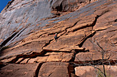 A young boy, age 3, learning to rock climb in Hunter Canyon near Moab, Utah.