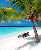 Beautiful tropical beach and lounge chairs, The Maldives, Indian Ocean, Asia