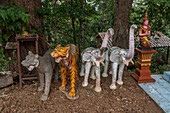 Tiger- und Elefantenstatue, Wat Pa Daeng buddhistischer Tempel im Wald oberhalb von Chiang Mai, Thailand, Südostasien, Asien