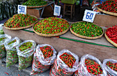 Chillies for sale, Kad Luang fish and vegetable market in Chiang Mai, Thailand, Southeast Asia, Asia