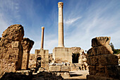 The ruins of the ancient city of Carthage, founded by the Phoenicians in the 9th cntury BC, reaching its height in the 4th century BC, centre of the Carthaginian Empire, UNESCO World Heritage Site, Tunisia, North Africa, Africa