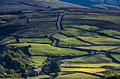 Die Straße zum Buttertubs Pass, Swaledale, Yorkshire Dales National Park, Yorkshire, England, Vereinigtes Königreich, Europa