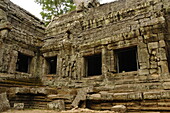 Ta-Prohm-Tempel, Angkor, UNESCO-Weltkulturerbe, Siem Reap, Kambodscha, Indochina, Südostasien, Asien