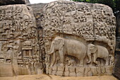 Bas relief of Descent of the Ganga River, Mahabalipuram, UNESCO World Heritage Site, Tamil Nadu, India, Asia