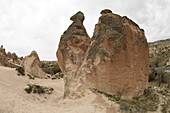 Camel shaped rock formation, Devrent Valley, Cappadocia, Turkey, Asia Minor, Asia