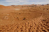 Totes Vlei, Sossusvlei, Namib-Wüste, Namibia, Afrika