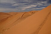 Totes Vlei, Sossusvlei, Namib-Wüste, Namibia, Afrika