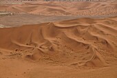 Totes Vlei, Sossusvlei, Namib-Wüste, Namibia, Afrika