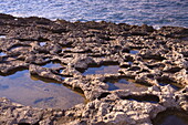 Rocky coast in Bugibba, Malta, Mediterranean, Europe