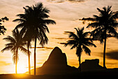 Sunset with the iconic Two Brothers Mountains in the backgrounds with palm trees in the foreground, Rio de Janeiro, Brazil, South America