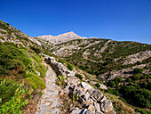 Weg zum Berg Zas oder Zeus, Insel Naxos, Kykladen, Griechische Inseln, Griechenland, Europa