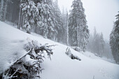 Gefrorene Winterlandschaft, Vladeasa-Gebirge, Rumänien, Europa