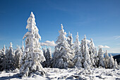 Gefrorene Winterlandschaft, Vladeasa-Gebirge, Rumänien, Europa