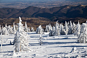 Gefrorene Winterlandschaft, Vladeasa-Gebirge, Rumänien, Europa