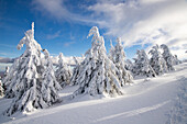 Gefrorene Winterlandschaft, Vladeasa-Gebirge, Rumänien, Europa