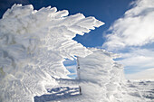 Gefrorene Winterlandschaft, Vladeasa-Gebirge, Rumänien, Europa