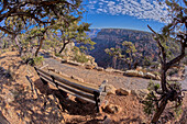 Eine Bank entlang des Rim Trail mit Blick auf den Grand Canyon South Rim an der Hermit Road, Grand Canyon, UNESCO-Welterbe, Arizona, Vereinigte Staaten von Amerika, Nordamerika