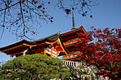 Buddhistischer Tempelkomplex Kiyomizu-dera und Pagode in Kyoto, UNESCO-Weltkulturerbe, Honshu, Japan, Asien