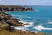 Pointe du Grouin, Cancale, Ille-et-Vilaine, Brittany, France, Europe