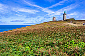 Cap Frehel, Plevenon, Cotes-d'Armor, Bretagne, Frankreich, Europa