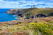 Cap Frehel, Plevenon, Cotes-d'Armor, Bretagne, Frankreich, Europa