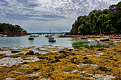 Boote, Ile-de-Brehat, Cotes-d'Armor, Bretagne, Frankreich, Europa