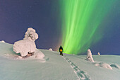 Nachtansicht eines Mannes, der auf einen Hügel mit schnee- und eisbedeckten Bäumen klettert und das grüne Nordlicht (Aurora Borealis) bewundert, Tjautjas, Gemeinde Gallivare, Bezirk Norrbotten, Schwedisch-Lappland, Schweden, Skandinavien, Europa