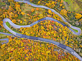 Ein Auto, das an einem Herbsttag die Bergstraße entlang fährt, Nationalpark Toskanisch-emilianischer Apennin, Toskana, Italien, Europa