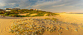 Blick auf Sanddünen und Strand, Kap St. Francis, Ostkap-Provinz, Südafrika, Afrika