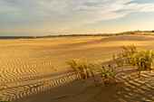 Blick auf Sanddünen und Strand mit Seal Point Leuchtturm im Hintergrund, Cape St. Francis, Ostkap-Provinz, Südafrika, Afrika