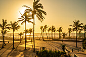 Blick auf Palmen, Promenade und den Indischen Ozean im Hintergrund bei Sonnenaufgang, Durban, Provinz KwaZulu-Natal, Südafrika, Afrika