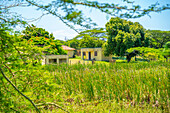 Blick auf bunte Häuser im traditionellen Zulu-Dorf, Veyane Cultural Village, Khula, Khula Village, Provinz KwaZulu-Natal, Südafrika, Afrika