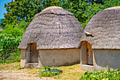 View of thatched roof houses in traditional Zulu village, Veyane Cultural Village, Khula, Khula Village, KwaZulu-Natal Province, South Africa, Africa