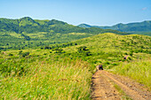 Blick auf Safarifahrzeuge im Hluhluwe-Imfolozi-Park (Umfolozi), dem ältesten Naturschutzgebiet Afrikas, Provinz KwaZulu-Natal, Südafrika, Afrika