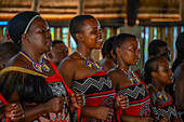 View of Swazi musical and dance performance, Mantenga Cultural Village a traditional Eswatini settlement, Malkerns, Eswatini, Africa