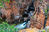 View of complex of smooth, cylindrical potholes and natural rock sculptures at Bourke's Luck Potholes, Blyde River Canyon Nature Reserve, Moremela, Mpumalanga Province, South Africa, Africa