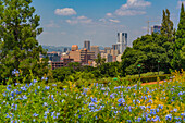 View of Pretoria skyline and Union Buildings Gardens from Union Buildings, Pretoria Central, Pretoria, South Africa, Africa