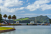 Sommertag im kleinen Hafen von Whitianga, Coromandel-Halbinsel, Nordinsel, Neuseeland, Pazifik