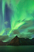 Northern Lights (Aurora Borealis) fill the sky over Reine Bay during an autumn night, Reine, Moskenesoya, Lofoten Islands, Nordland, Norway, Scandinavia, Europe